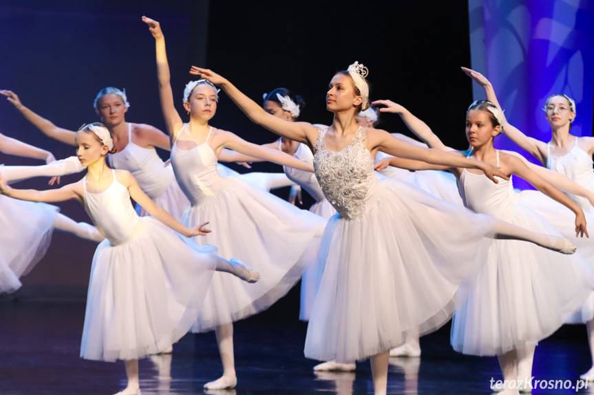 Jezioro łabędzie na scenie RCKP w Krośnie [ZDJĘCIA]