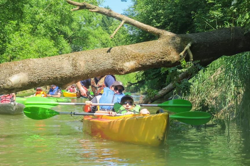 Trzeba było wiosłować, czasem przepchnąć kajak po kamieniach