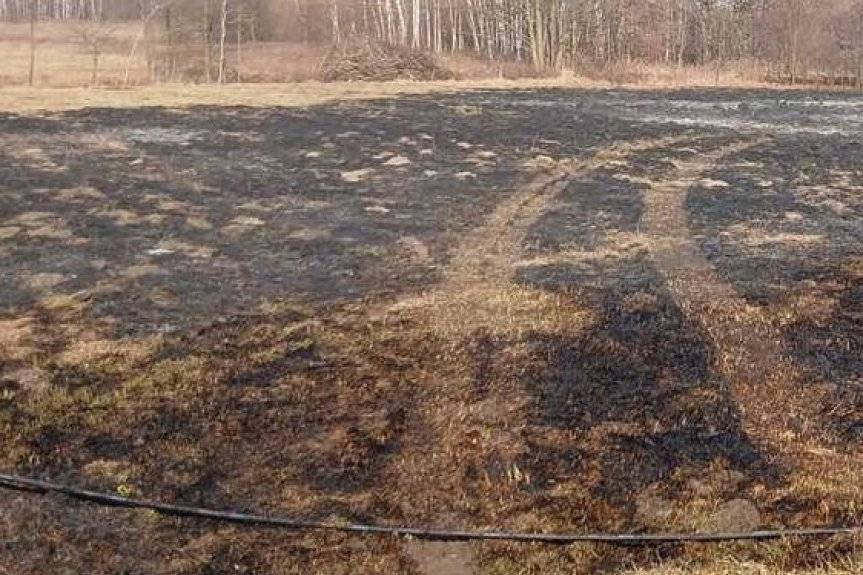 Wypalali trawy - poniosą konsekwencje
