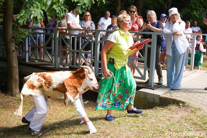 Rymanów-Zdrój tętni smakiem - trwa Festiwal Smaków Regionalnych