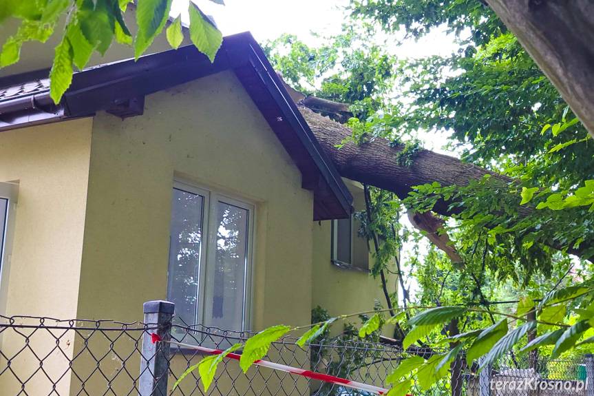 Bratkówka. Jesion runął na budynek mieszkalny. Jedna osoba poszkodowana