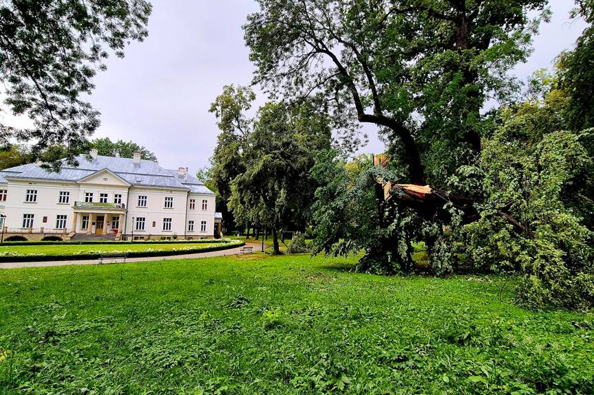 Podkarpaccy strażacy interweniowali 1200 razy po nawałnicach