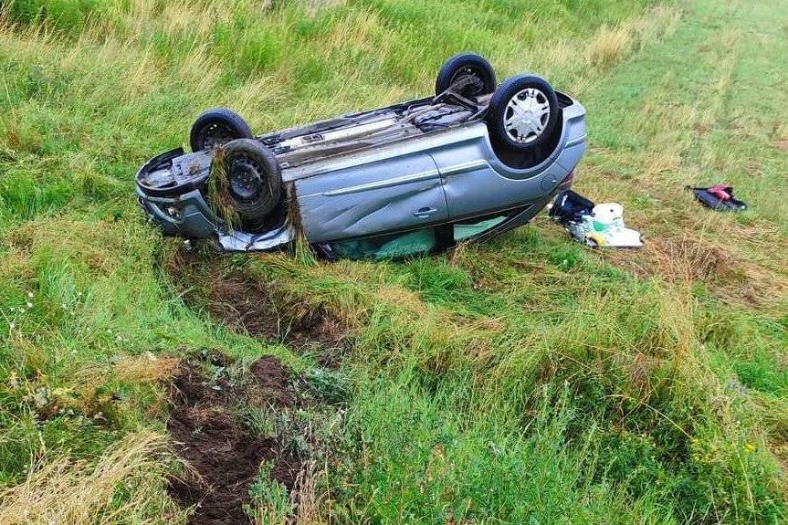 Dachowanie w Zalesiu