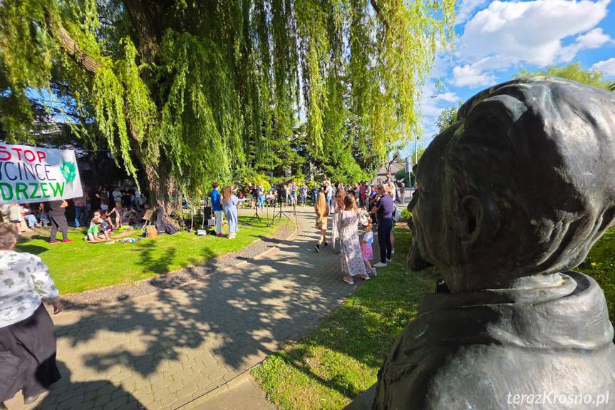 Mieszkańcy Krosna przeciwko wycince drzew. Protest na skwerze Jana Zycha