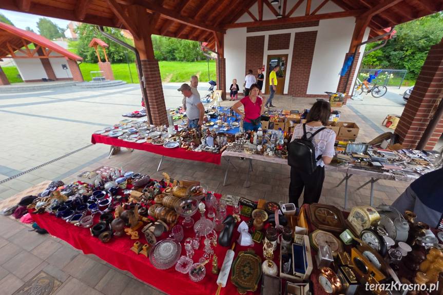Rogowski Targ Staroci [ZDJĘCIA]