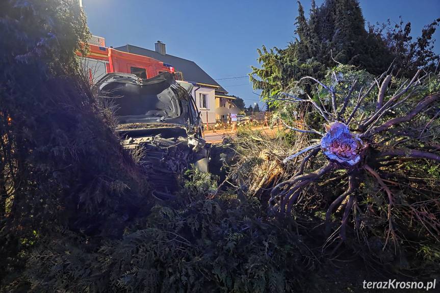 Pustyny. Uderzył w ogrodzenie