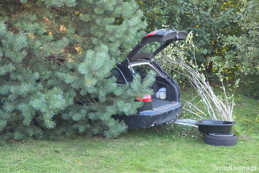 Kierowca audi wjechał na posesję i uderzył w drzewo