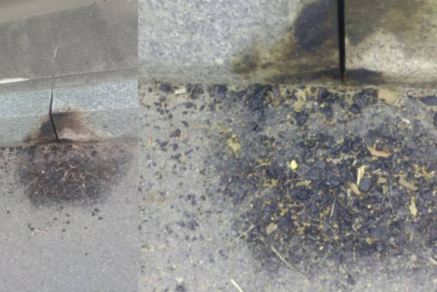 Rozpalili ognisko na moście. Czy poniosą konsekwencje?