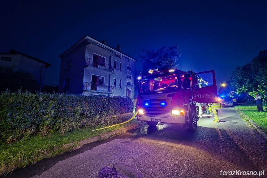 Guzikówka: ogień wrócił po czterech dniach