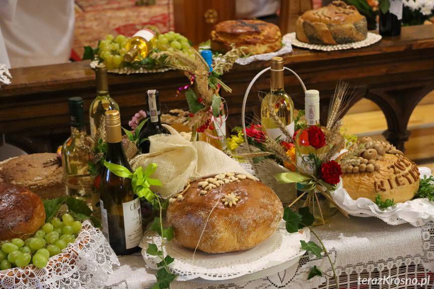 Święto plonów gminy Dukla w Równem [ZDJĘCIA]