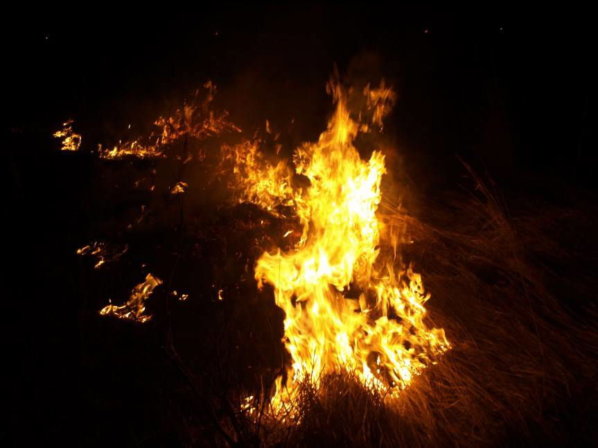 30 tysięcy za wypalanie suchych traw?