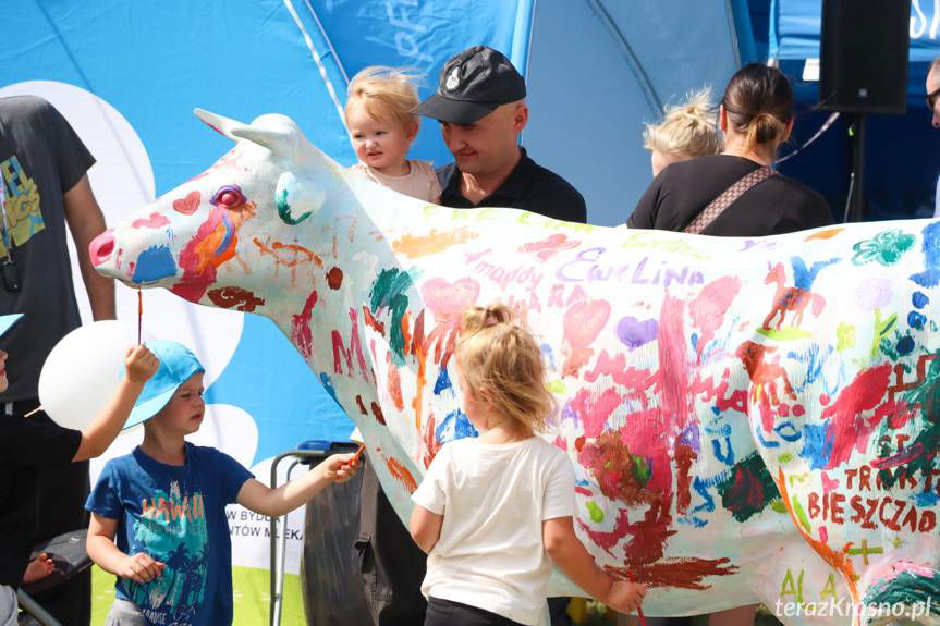 Pożegnanie wakacji w Rudawce Rymanowskiej [ZDJĘCIA]