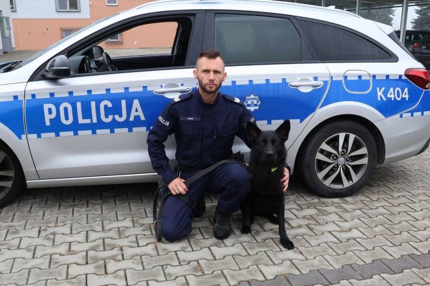 Owczarek niemiecki Wega zasilił szeregi policji