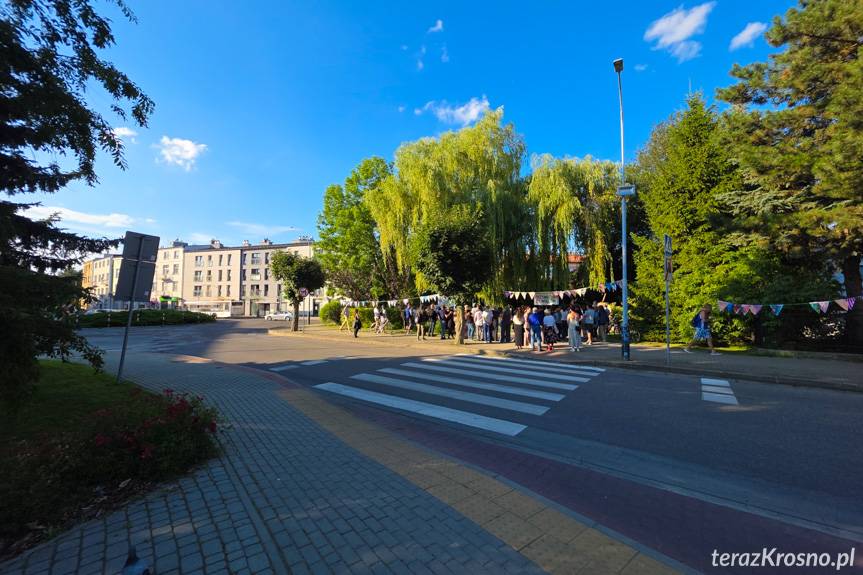 Krosno. Radni w obronie drzew przy ul. Wojska Polskiego