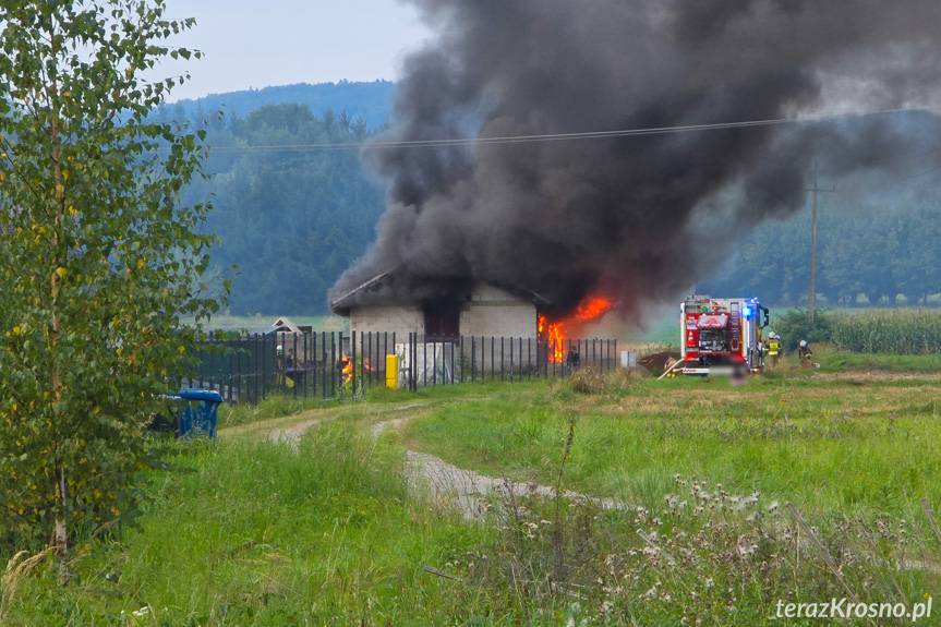 Rodzina straciła dom w pożarze. Ruszyła internetowa zbiórka