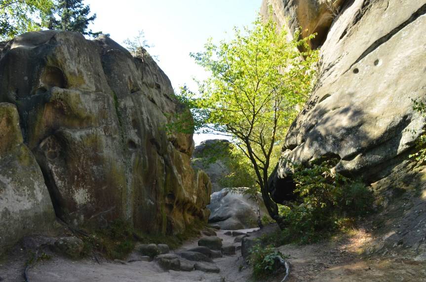 Cuda Polski 2025. Oddaj głos na "Prządki"