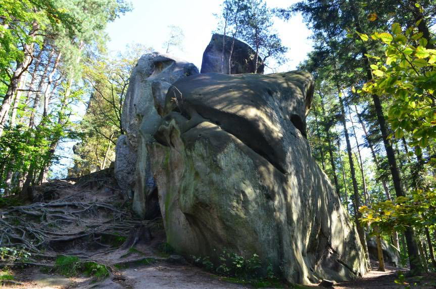 Cuda Polski 2025. Oddaj głos na "Prządki"