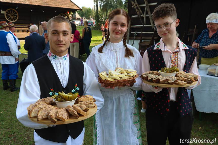 Słownik rogowski Teresy Drozd. Zaproszenie do wsi sprzed kilkudziesięciu lat [ZDJĘCIA]