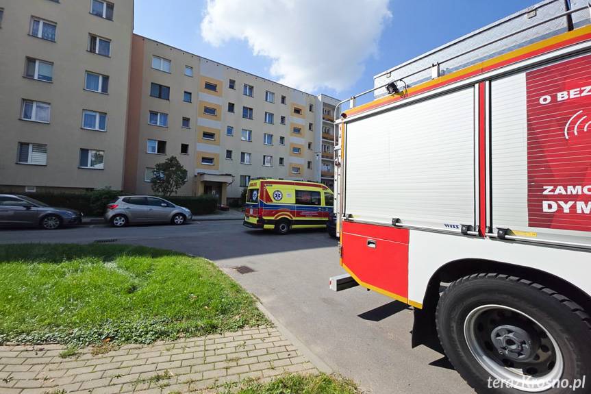 Potrawa na kuchence przyczyną zadymienia i pożaru w Krośnie