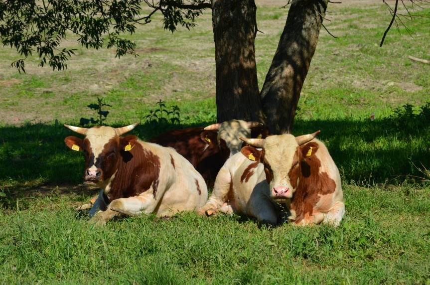 Zaproszenie do udziału w konkursie filmowym