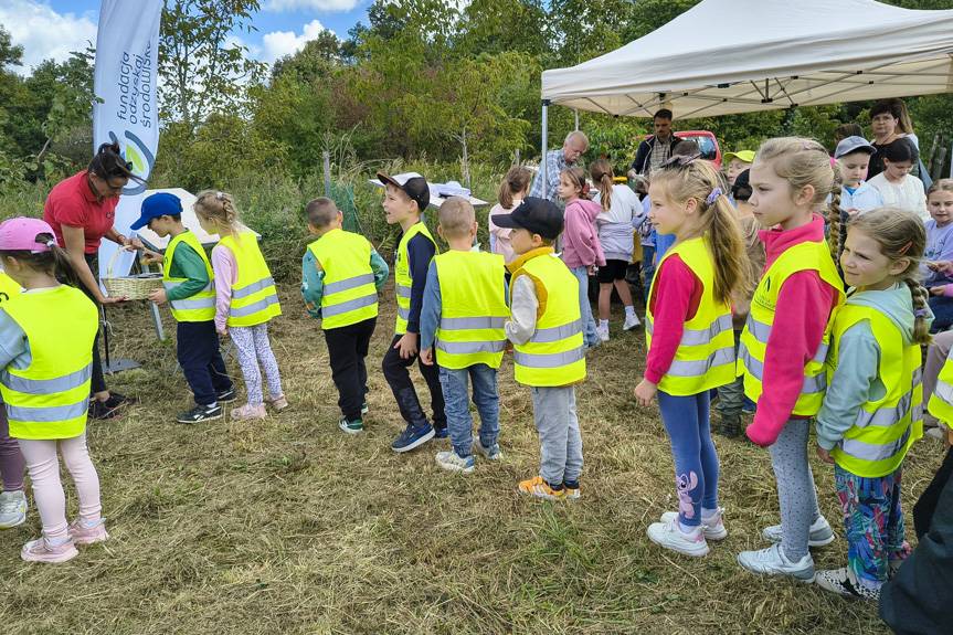 Miodobranie w Krośnie połączyło edukację z zabawą