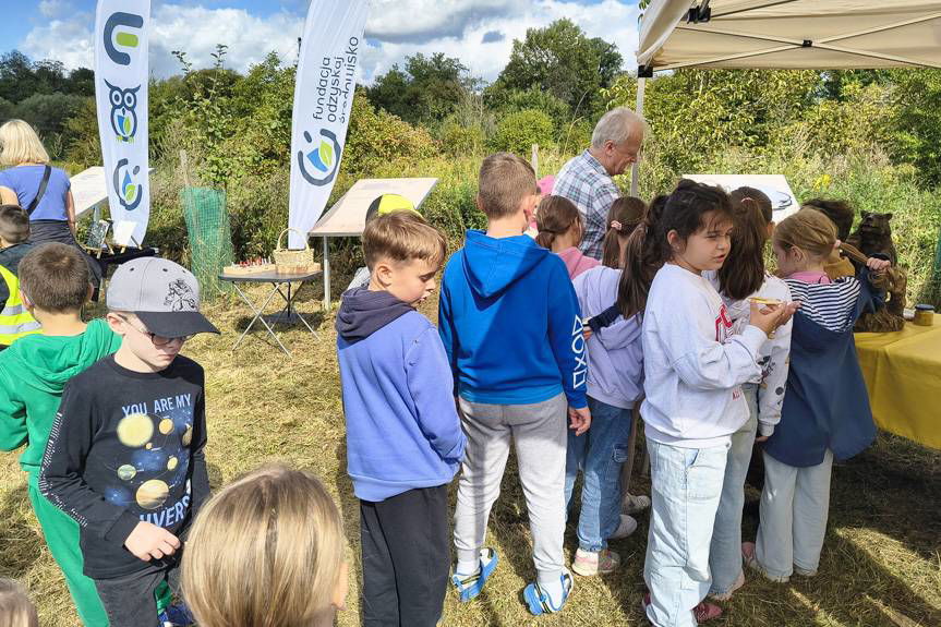 Miodobranie w Krośnie połączyło edukację z zabawą