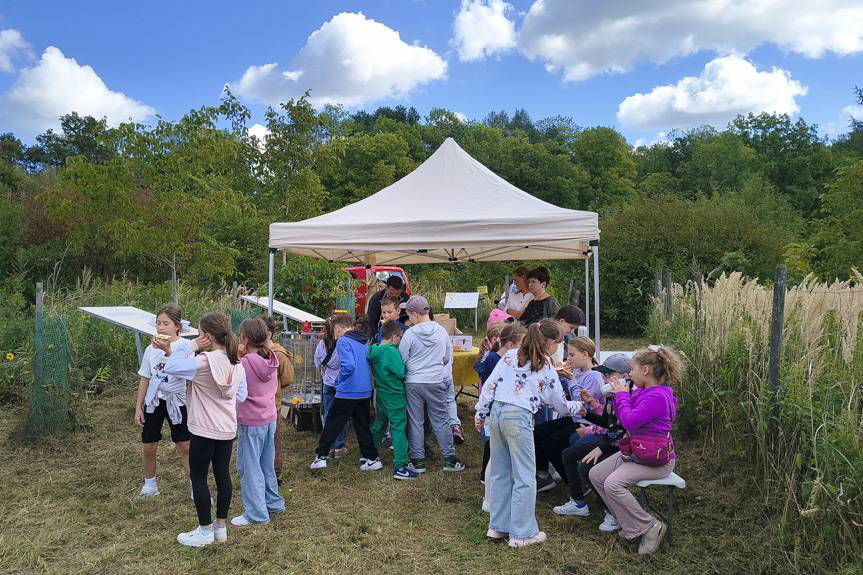 Miodobranie w Krośnie połączyło edukację z zabawą