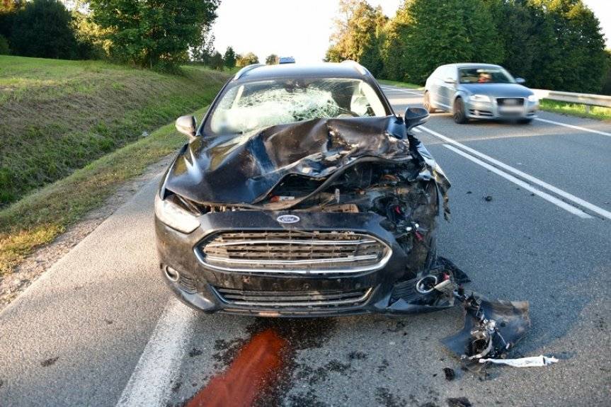 Kolizja forda z jeleniem w miejscowości Równe