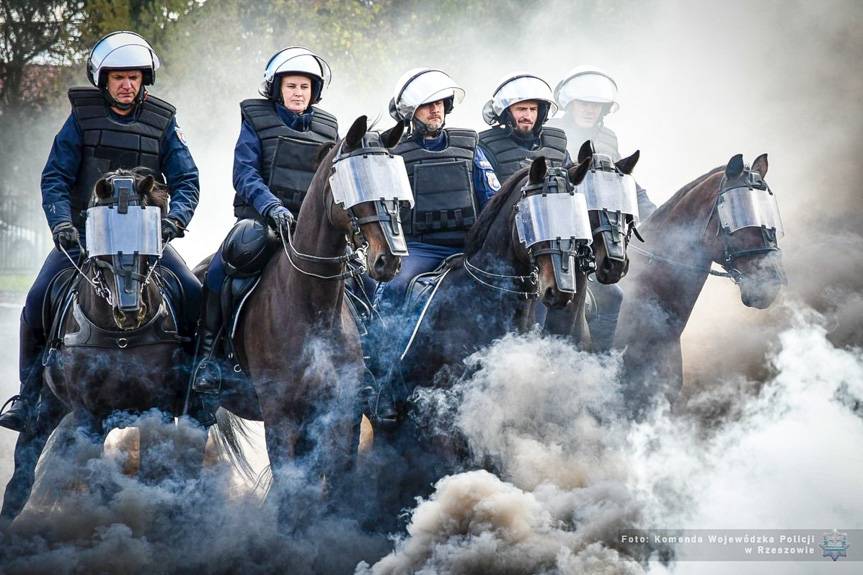 Policyjne wierzchowce zaliczyły egzamin na medal