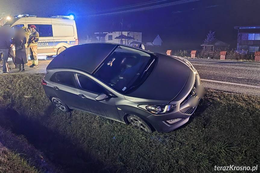 Rogi. Samochód wjechał do rowu