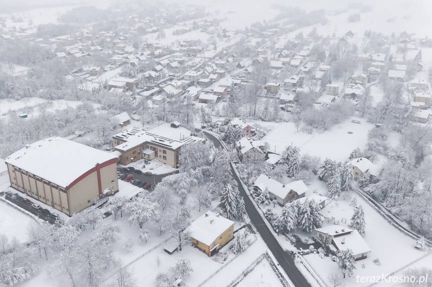 Głowienka w zimowej odsłonie [ZDJĘCIA]