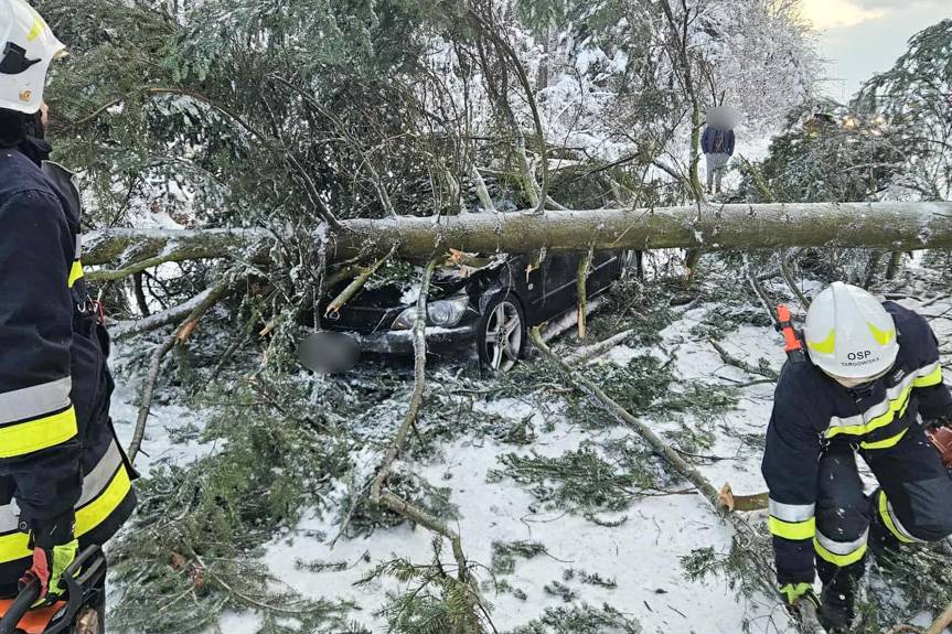 Targowiska. Drzewo runęło na samochód osobowy