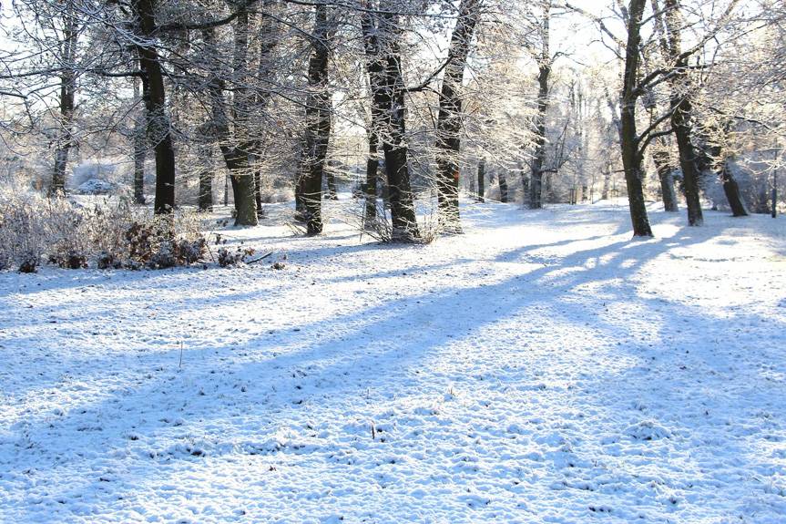 Parki miejskie zamknięte do odwołania