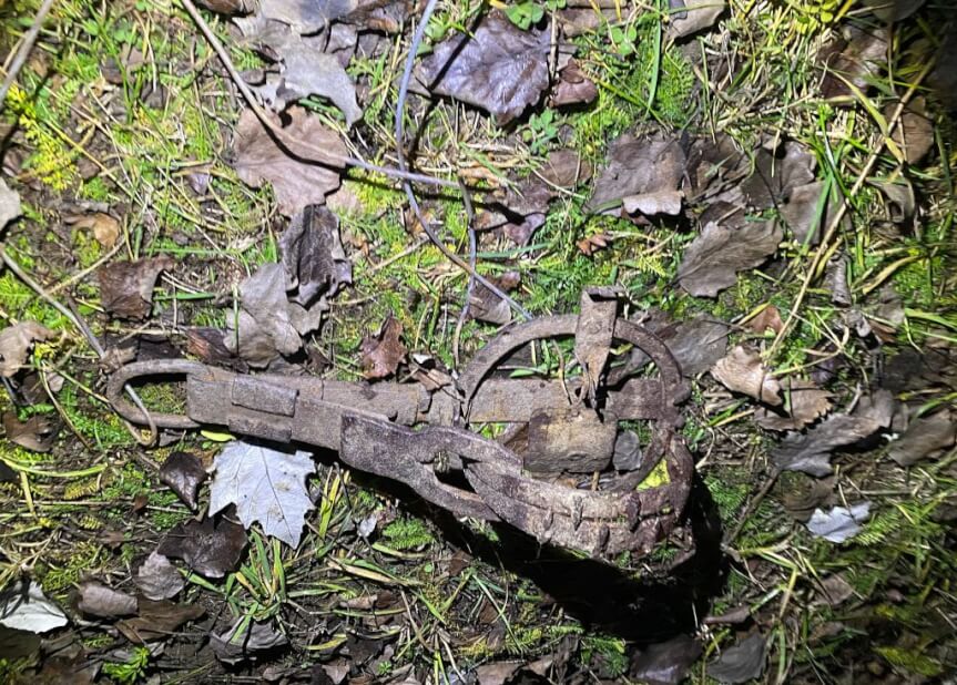 Nietypowa interwencja policjantów i strażaków. Lis uwięziony w żelazie