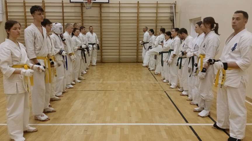 sukcesy krośnieńskiego klubu karate