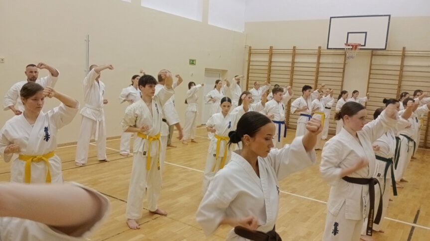 zawodnicy karate