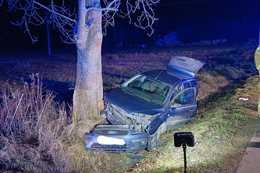Auto uderzyło w drzewo. Jedna osoba ranna