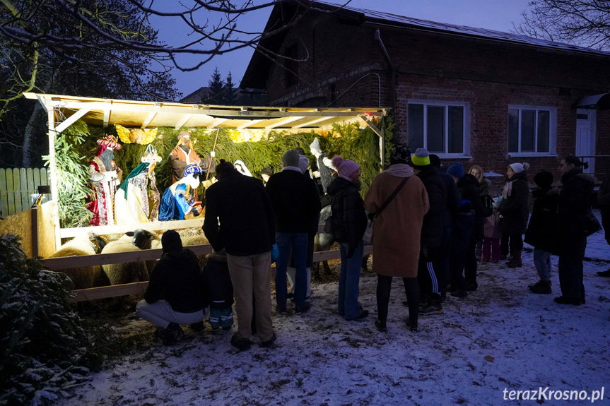 Betlejem na dziedzińcu klasztoru w Krośnie [ZDJĘCIA]