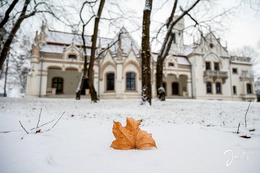 Jasło w białej szacie