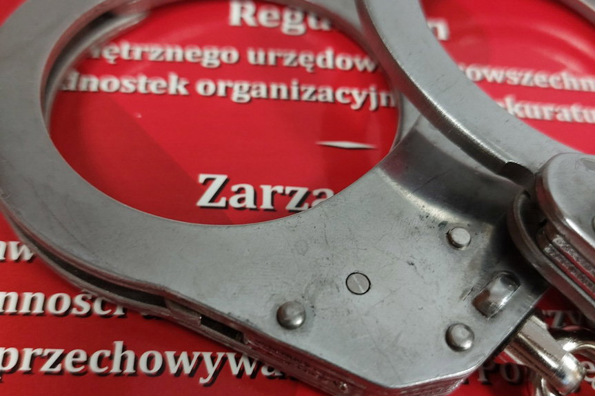 Skuteczność i współpraca policji przyniosły efekty
