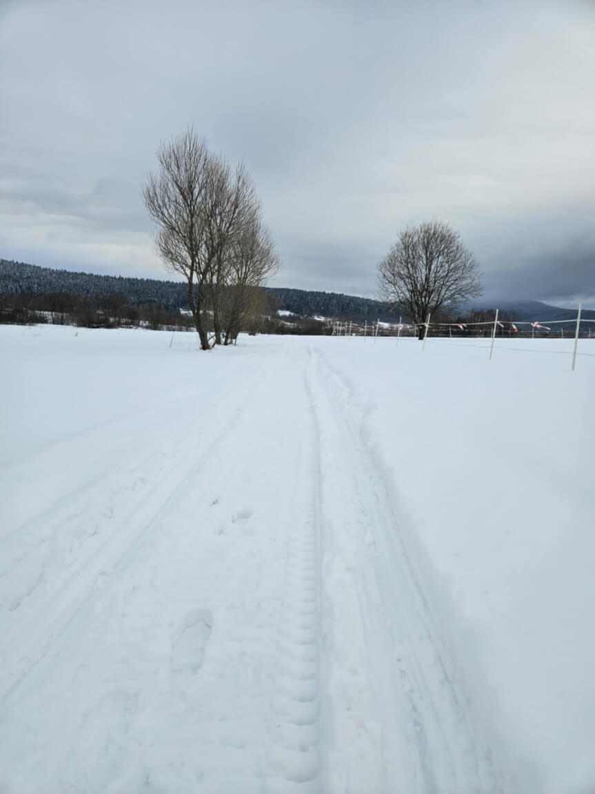 trasy biegowe jaśliska