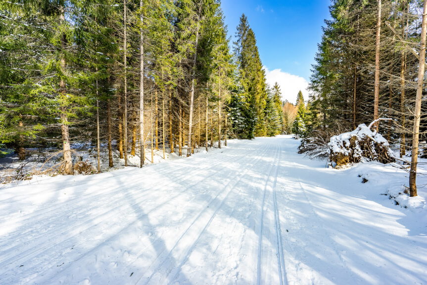 Jak przyroda może wspierać rozwój gmin?