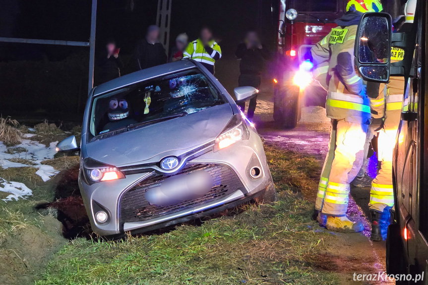 Wypadek w Sulistrowej. Starsza kobieta potrącona przez samochód