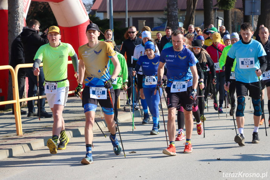 Nordic walking tropem wilczym