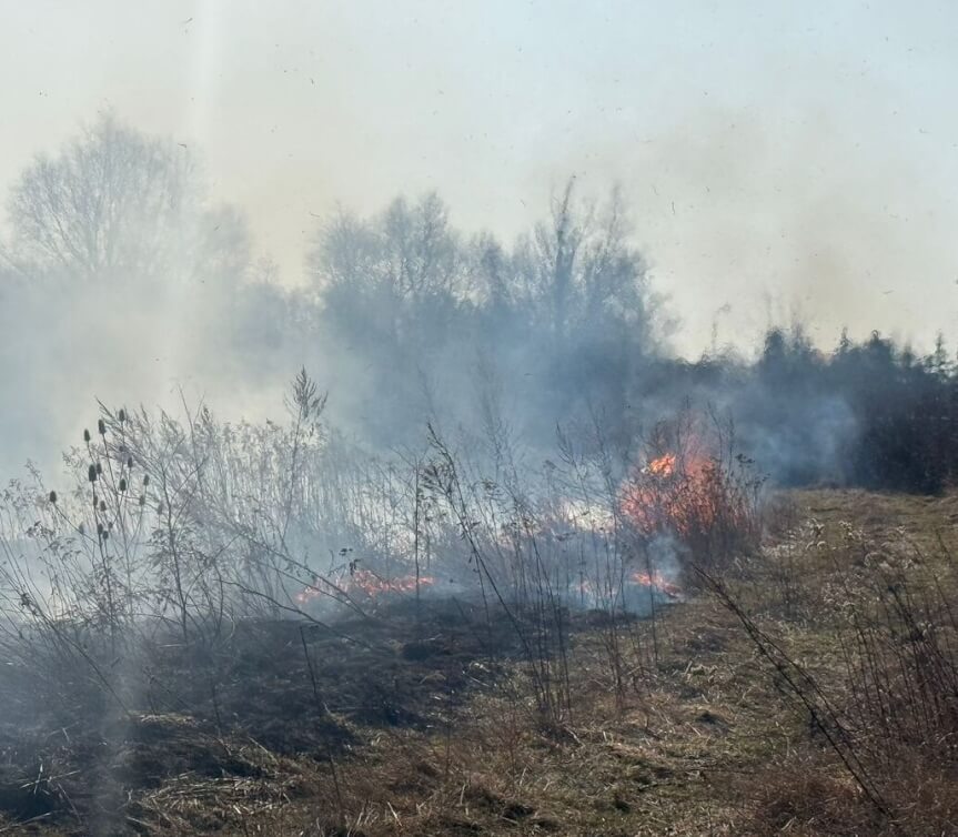 57-latek podpalił trawy. Mandat 1000 zł
