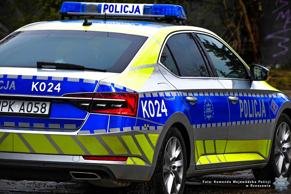 Wspólna akcja służb - kierowcy i pojazdy dokładnie sprawdzeni