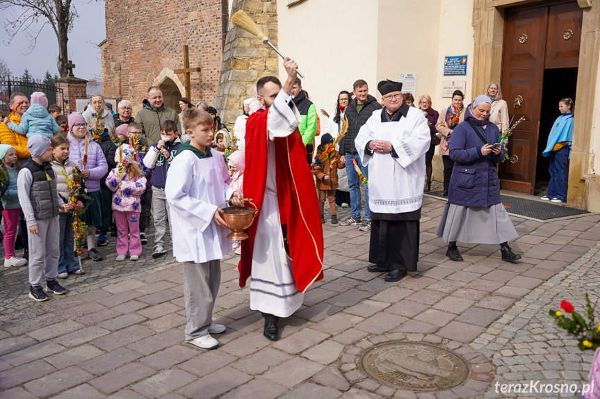 Niedziela Palmowa z procesją w krośnieńskiej farze [ZDJĘCIA]