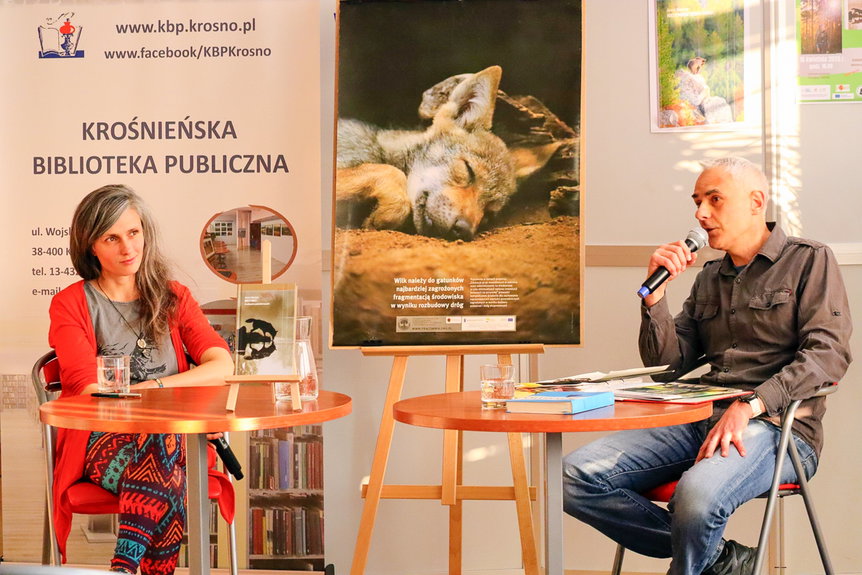 Wilki coraz bliżej ludzi. Anna Maziuk wyjaśnia przyczyny