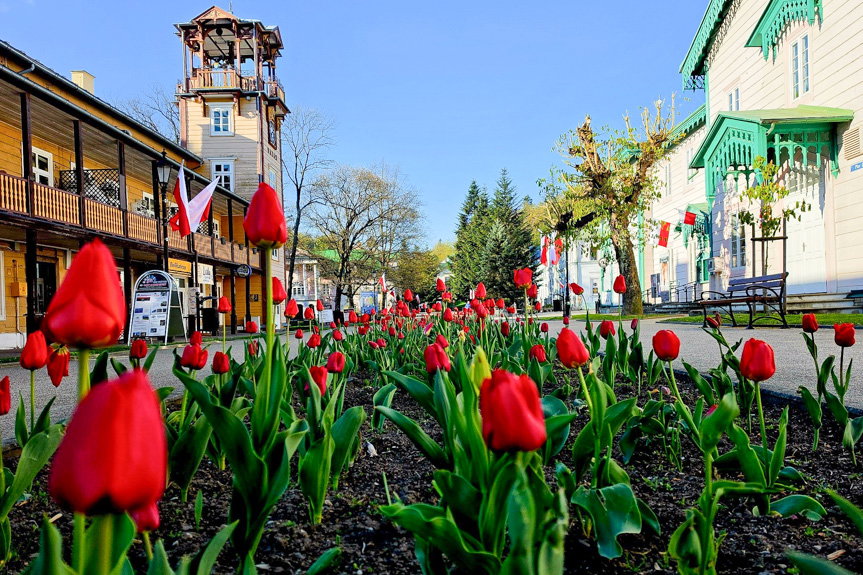 Majówka z biało-czerwoną w Iwoniczu-Zdroju