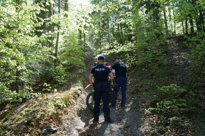 kontrola w lasach